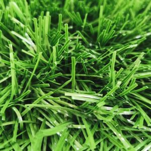 55 mm lion grass suni cim hali ar spor 02a5dd35