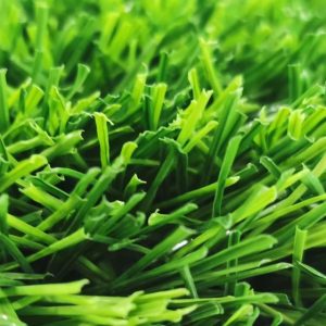 55 mm ultra lion grass ar spor 00704da1