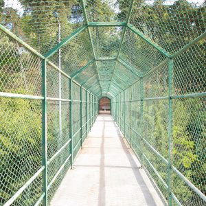 bridge way for tourists surrounded with green grid